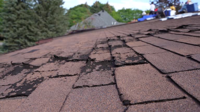 Best Emergency Roof Repair Services  in Lake Linden, MI
